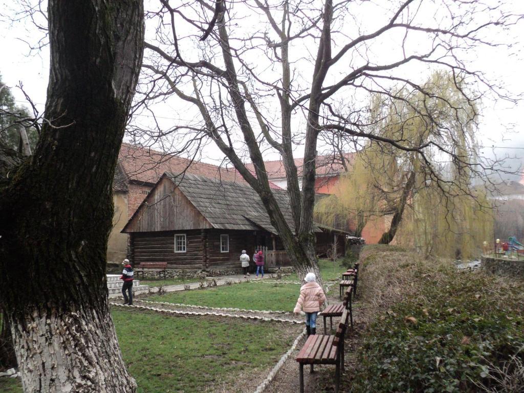 Pensiunea Irina Tilişca Zewnętrze zdjęcie
